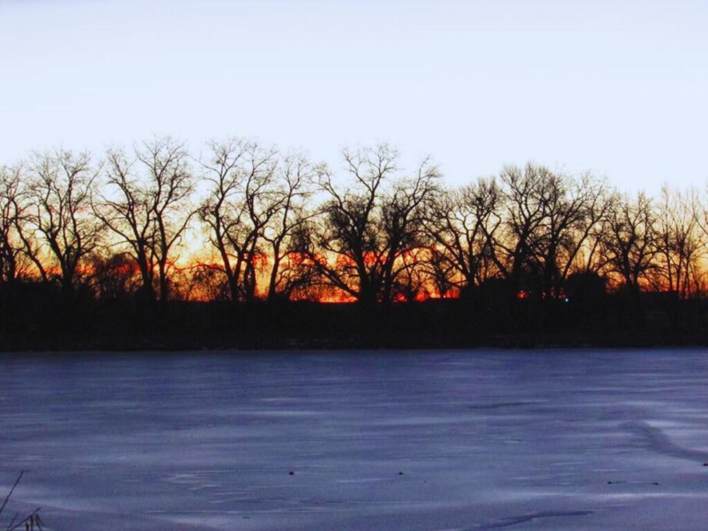 Sunrise, Timnath, CO